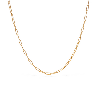 Golden Link Necklace