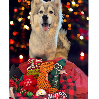 7-Toy Christmas Dog Gift Box