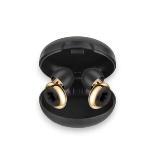 Comfort Fit Quiet Earplugs