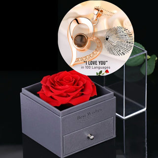 Rose & Projection Necklace Gift Set